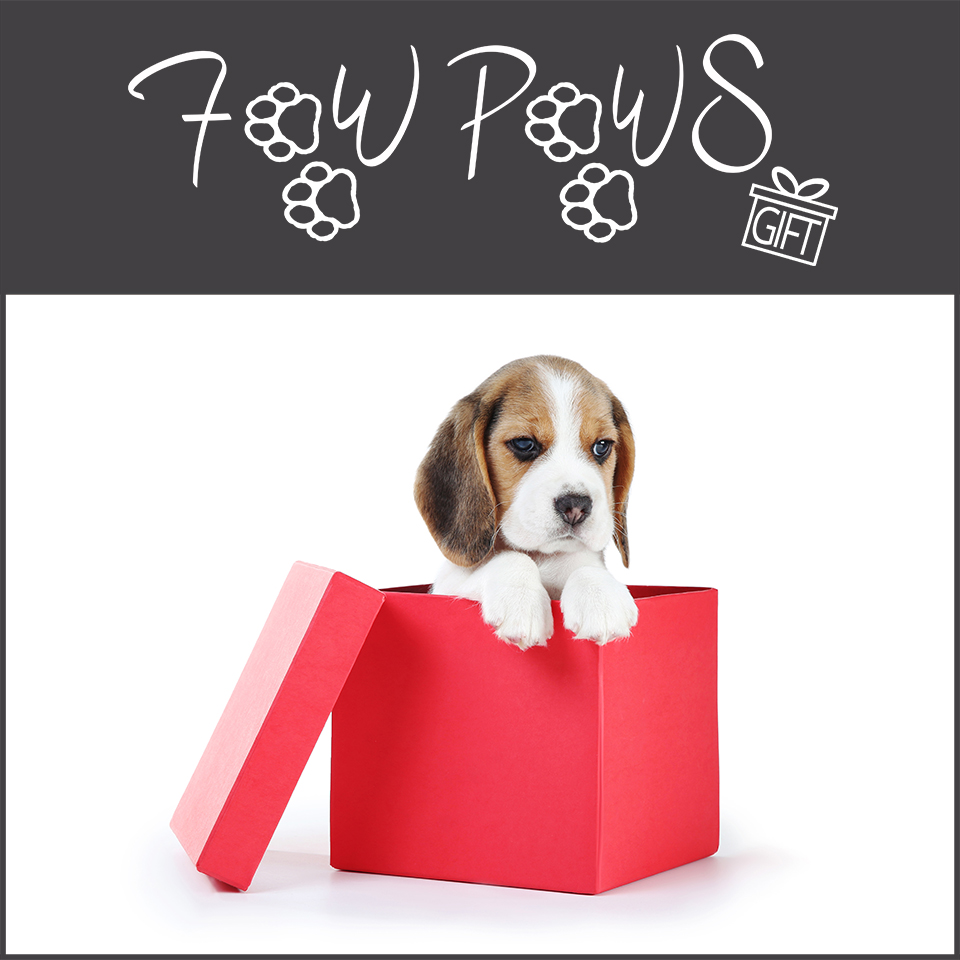 FawPaws Gift | For happy dog lovers