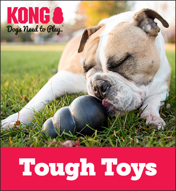 KONG Tough Toys